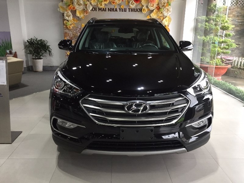 Cần bán Hyundai Santa Fe đời 2017, màu trắng, nhập khẩu nguyên chiếc-9