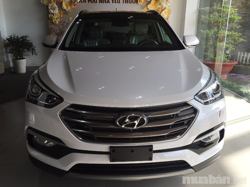 Cần bán Hyundai Santa Fe đời 2017, màu trắng, nhập khẩu nguyên chiếc-0