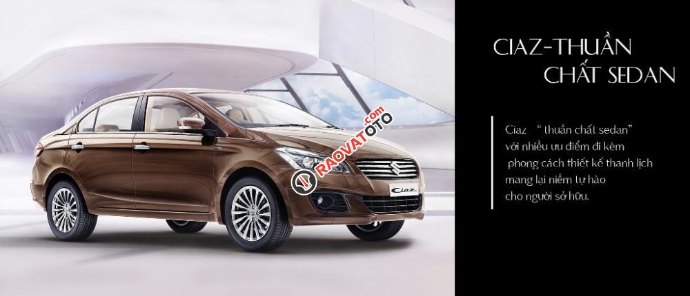 Cần bán xe Suzuki Ciaz đời 2017, màu nâu, nhập khẩu nguyên chiếc, giá 488tr-3