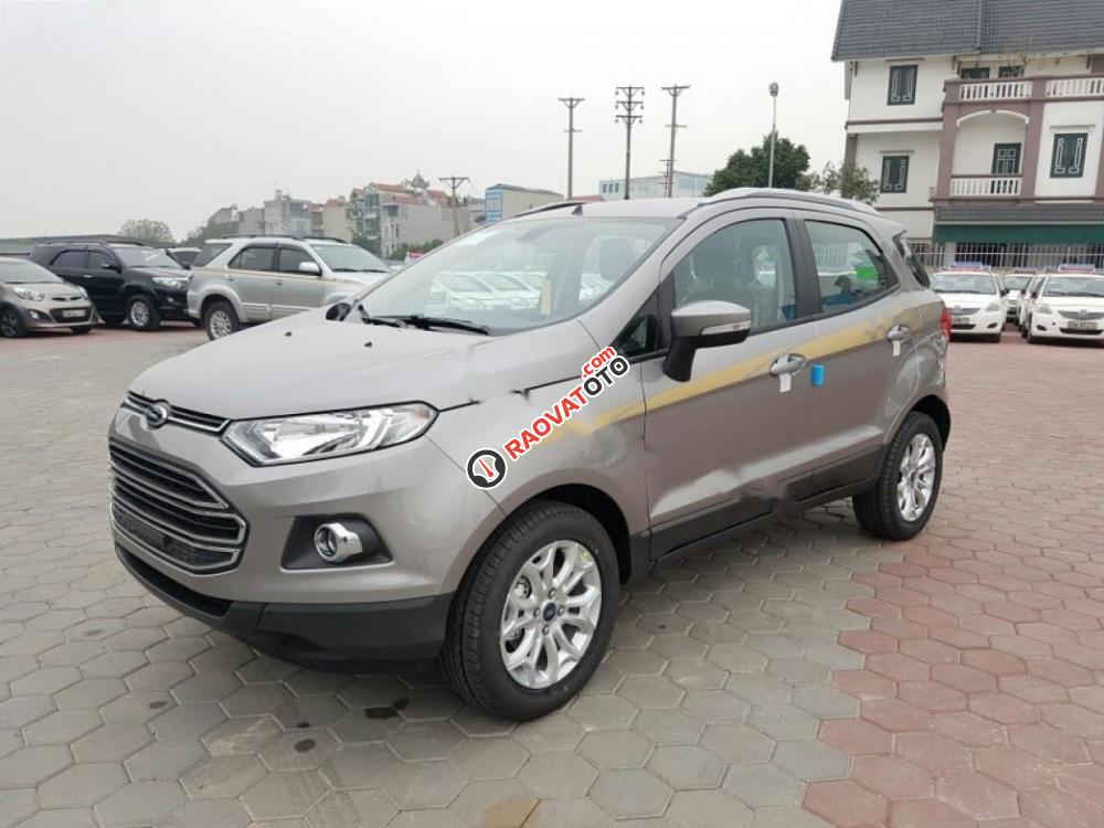 Cần bán xe Ford EcoSport Titanium 1.5L AT đời 2017, màu xám, 565tr-1