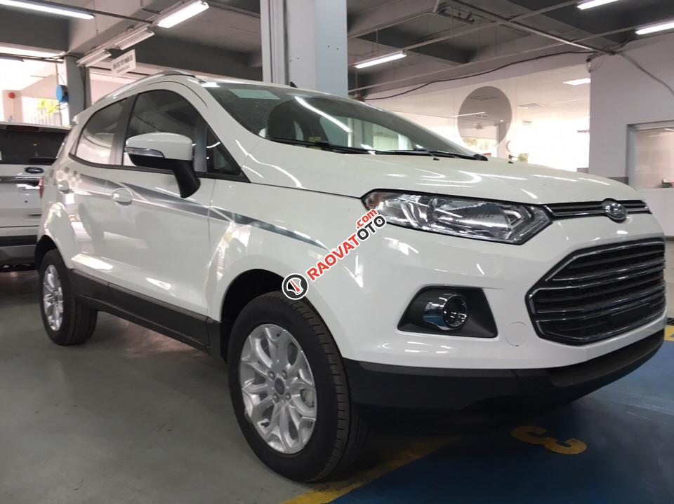 Bán Ford Ecosport giá rẻ tại Bắc Giang, hỗ trợ trả góp 80% giao xe ngay-4