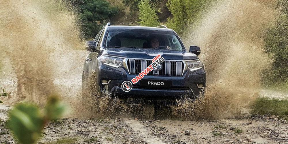 Cần bán Toyota Land Cruiser Prado VX đời 2018, màu xanh lam, xe nhập, giao ngay trước Tết-15