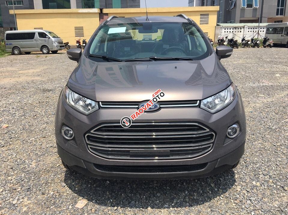 Bán xe Ford EcoSport Titanium năm 2017, giá tốt nhất, giao xe tại nhà-3