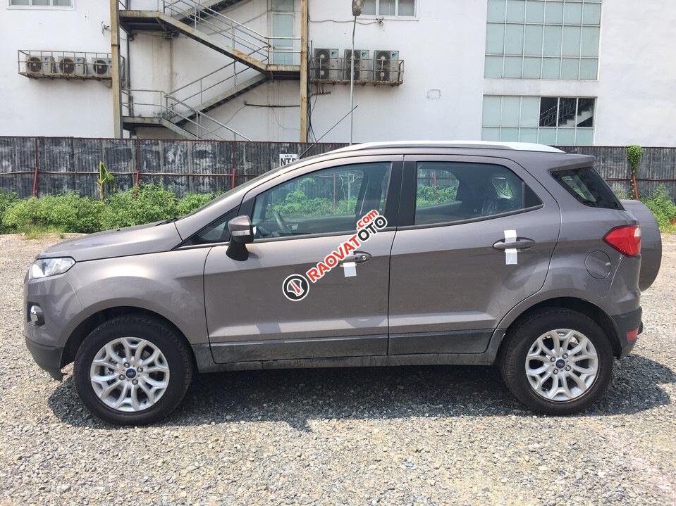 Bán xe Ford EcoSport Titanium năm 2017, giá tốt nhất, giao xe tại nhà-2