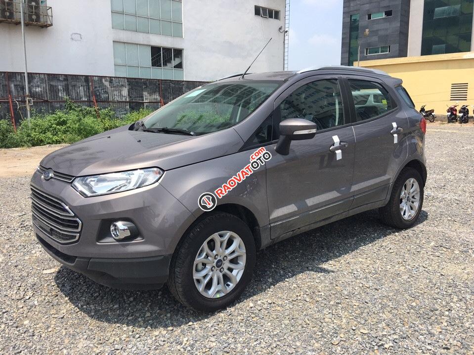 Bán xe Ford EcoSport Titanium năm 2017, giá tốt nhất, giao xe tại nhà-4