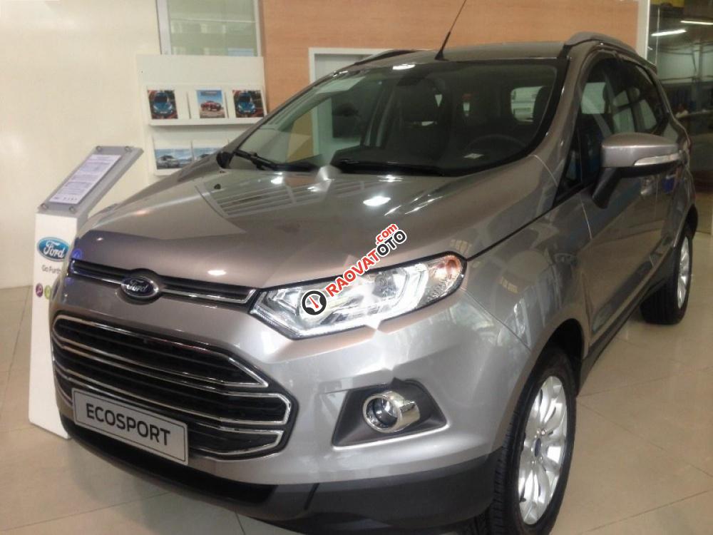 Bán ô tô Ford EcoSport Titanium 1.5L AT đời 2017, màu xám, 570tr-1