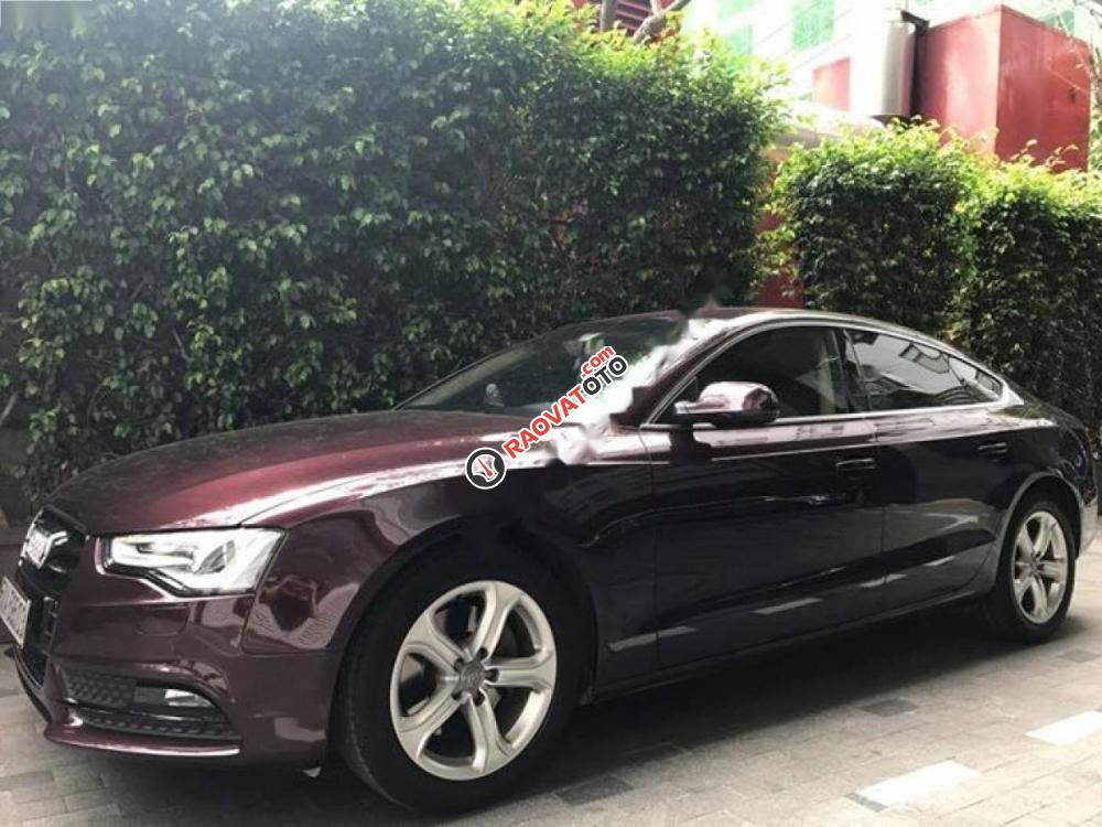 Bán Audi A5 Sportback 2.0 đời 2013, màu nâu, nhập khẩu chính chủ-1