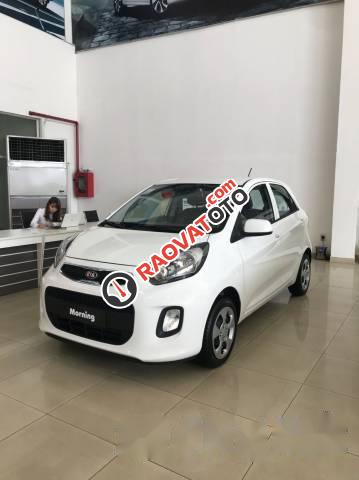 Bán xe Kia Morning sản xuất 2017, màu trắng, 295tr-0