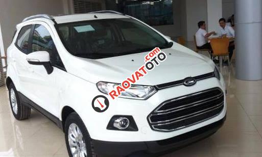 Ford Ecosport 2017 giá 565 triệu, liên hệ ngay 0947 078 259 để biết thông tin chi tiết-1