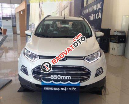 Ford Ecosport 2017 giá 565 triệu, liên hệ ngay 0947 078 259 để biết thông tin chi tiết-4