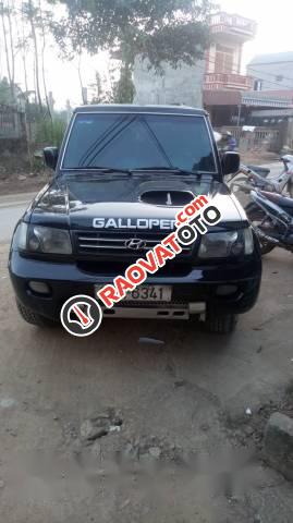 Bán xe Hyundai Galloper đời 2002, màu đen, nhập khẩu, giá 126tr-1