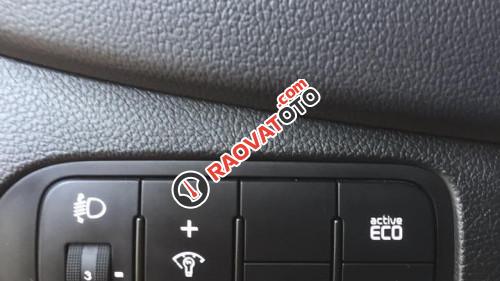 Bán Kia Rondo 1.7 AT đời 2014 xe gia đình-10