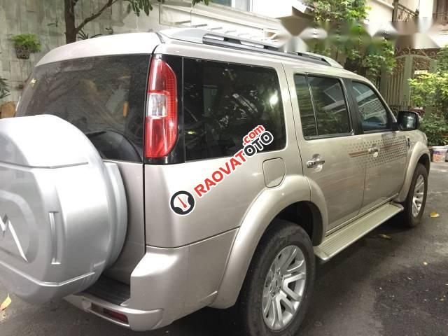 Bán gấp Ford Everest đời 2015 số sàn, giá chỉ 672 triệu-2