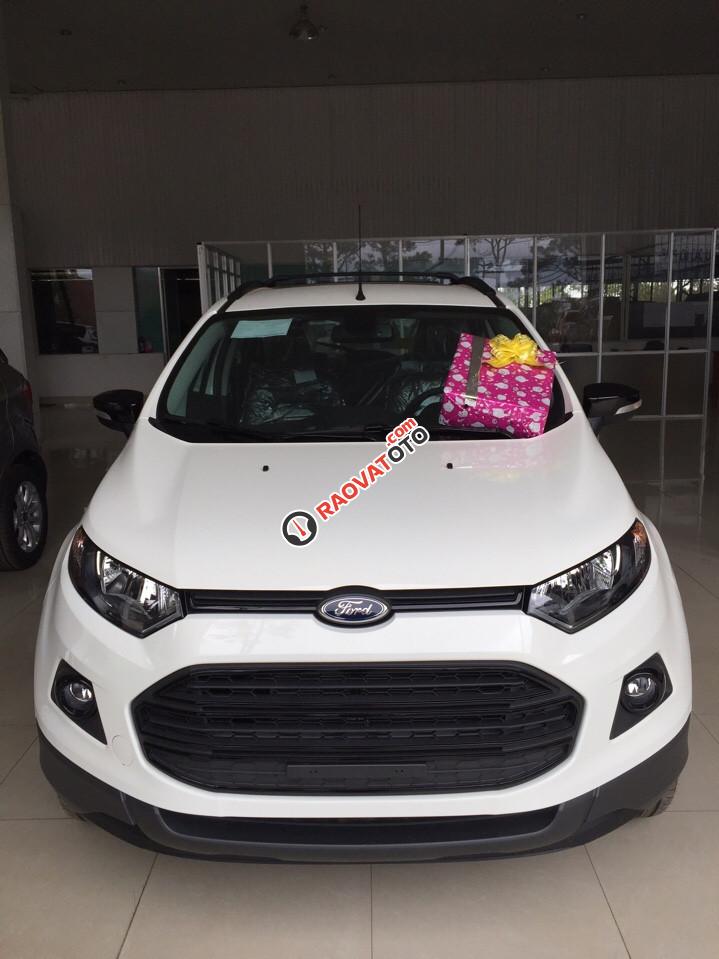 Mua xe Ford Ecosport Titanium SVP 2017 hỗ trợ vay 80%/6 năm. LH: 093 1234 768-2