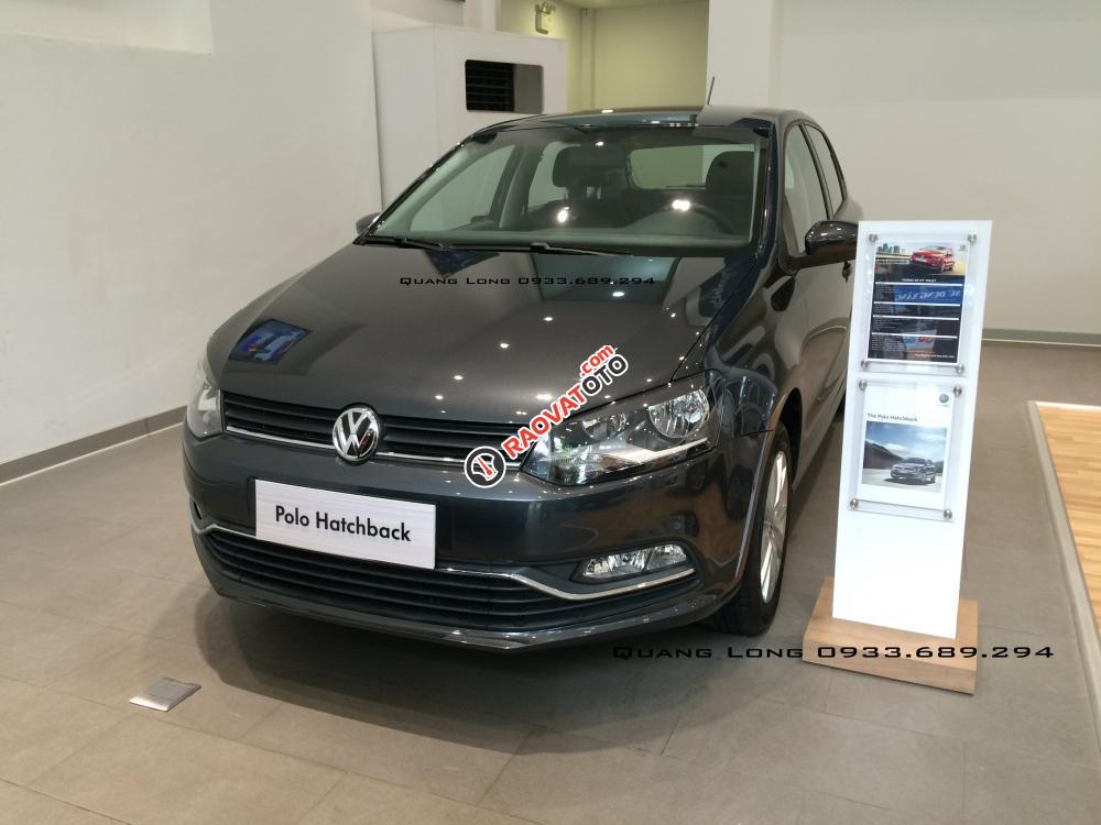 Polo Hatchback Volkswagen màu xám đặc biệt - Xe Châu Âu - LH Quang Long 0933689294-0