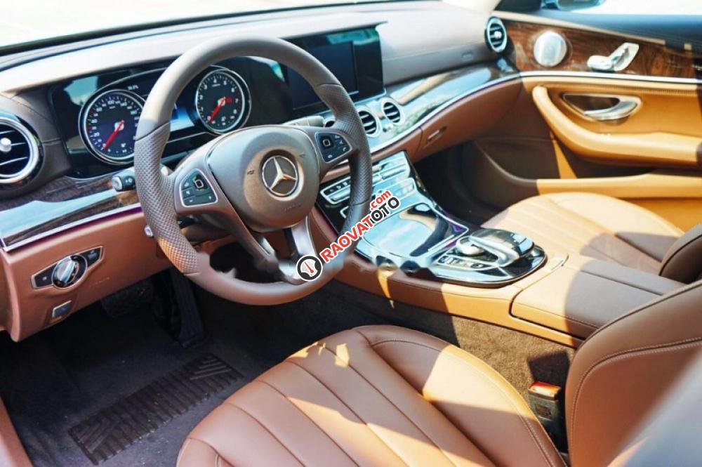 Cần bán gấp Mercedes E250 đời 2017, màu trắng-3