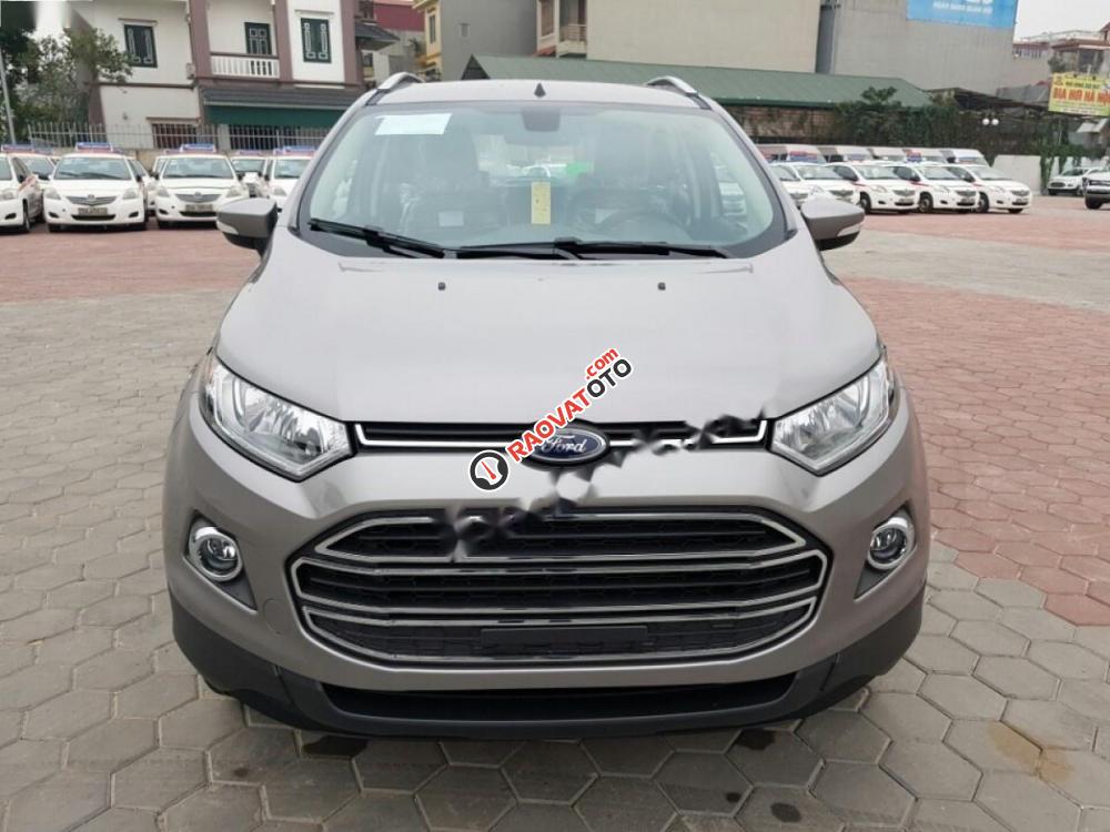 Cần bán Ford EcoSport Titanium 1.5L AT năm 2017, giá cạnh tranh-3