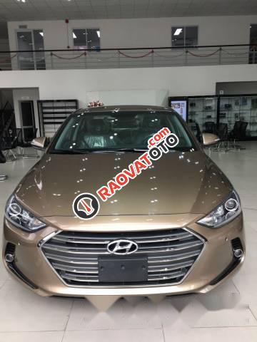 Cần bán Hyundai Elantra 2.0L AT đời 2017-0