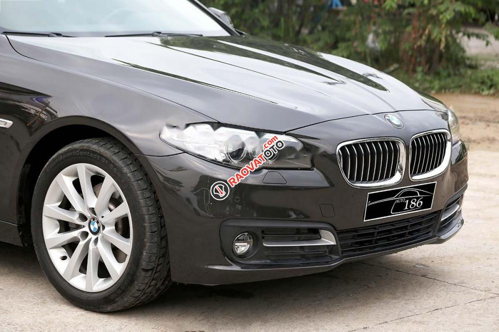 Bán BMW 5 Series 520i đời 2016, màu nâu, xe nhập-3