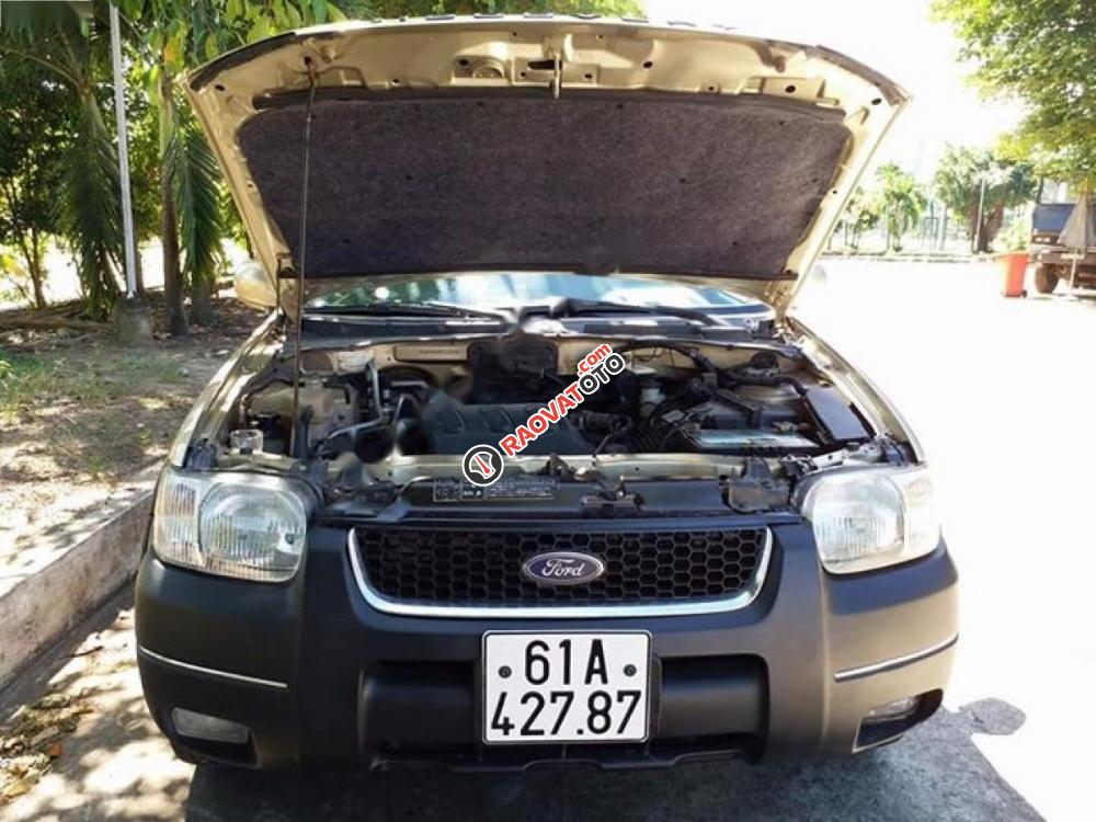 Cần bán lại xe Ford Escape XLT đời 2002, màu vàng xe gia đình, giá 150tr-9