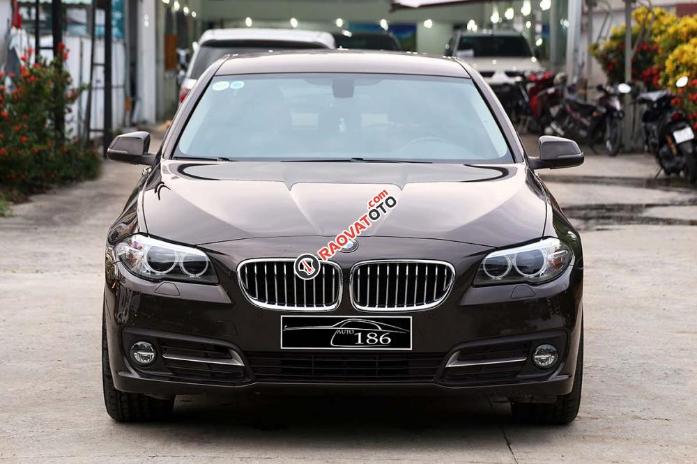 Bán BMW 5 Series 520i sản xuất 2016, màu nâu, nhập khẩu nguyên chiếc-1