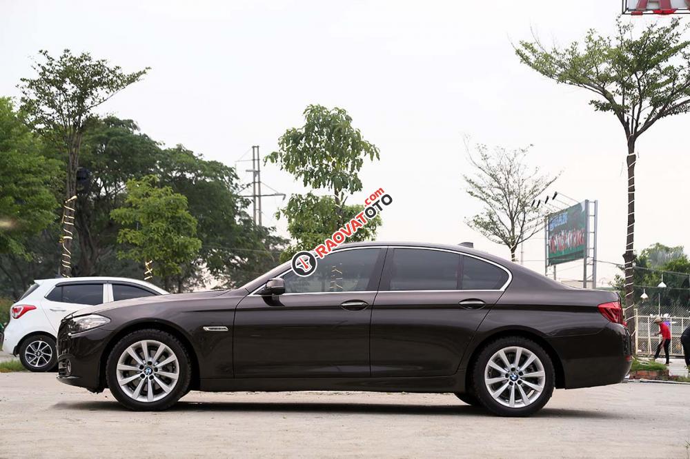 Bán BMW 5 Series 520i sản xuất 2016, màu nâu, nhập khẩu nguyên chiếc-7