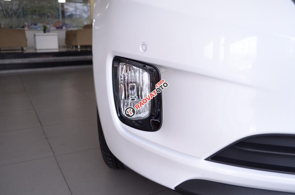Bán xe Kia Sedona đời 2018, màu trắng Nha Trang-13