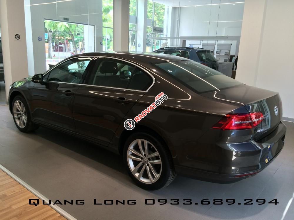 Volkswagen Passat GP màu nâu sang trọng - Ưu đãi lớn LH Quang Long 0933689294-2