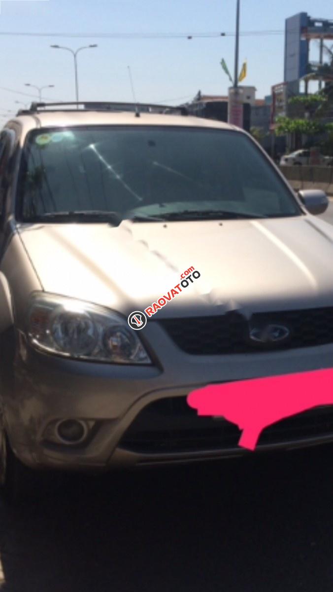 Cần bán gấp Ford Escape đời 2010, nhập khẩu nguyên chiếc, giá tốt-3