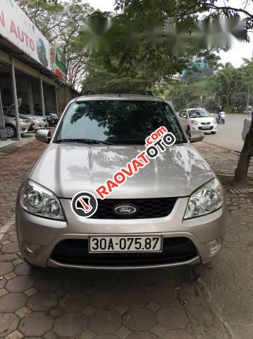 Cần bán gấp Ford Escape đời 2010 chính chủ, giá tốt-0