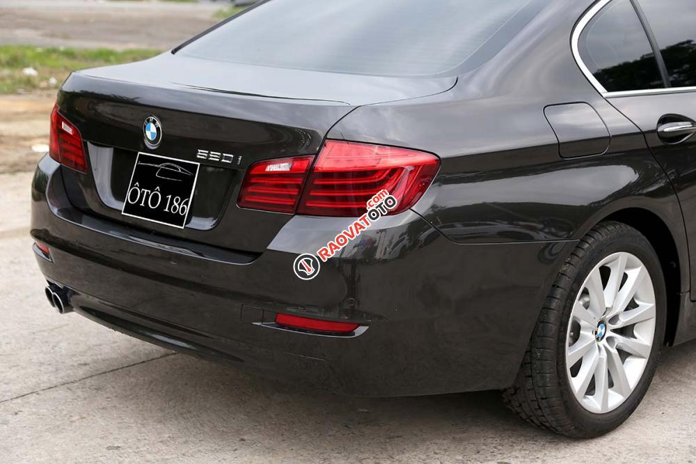 Bán BMW 5 Series 520i sản xuất 2016, màu nâu, nhập khẩu nguyên chiếc-11