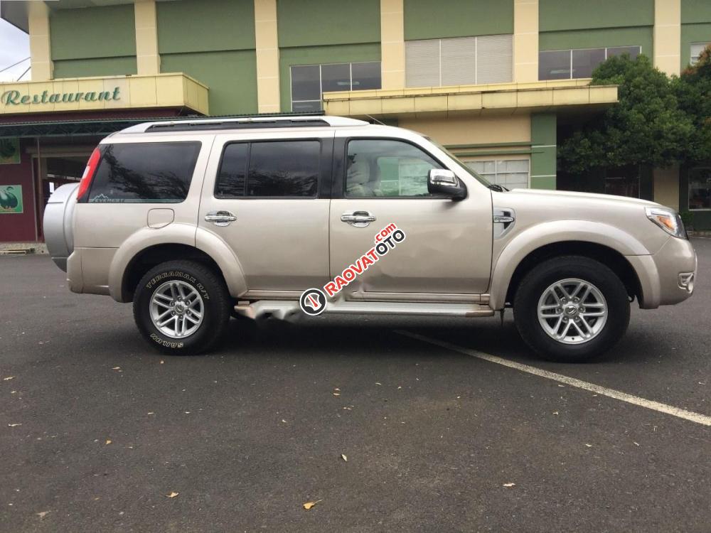 Cần bán gấp Ford Everest MT đời 2009-2