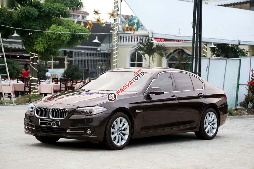 Bán BMW 5 Series 520i đời 2016, màu nâu, xe nhập-1