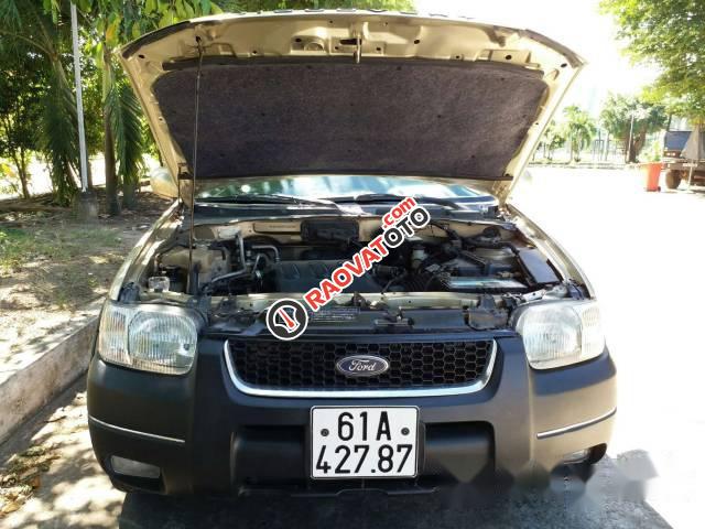 Bán Ford Escape XLT đời 2002 số tự động giá cạnh tranh-5