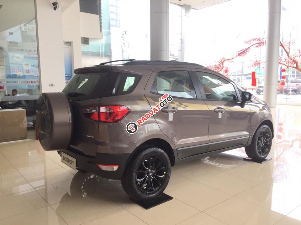 Cần bán Ford EcoSport Titanium SVP 1.5L AT 2017, 570 triệu-4