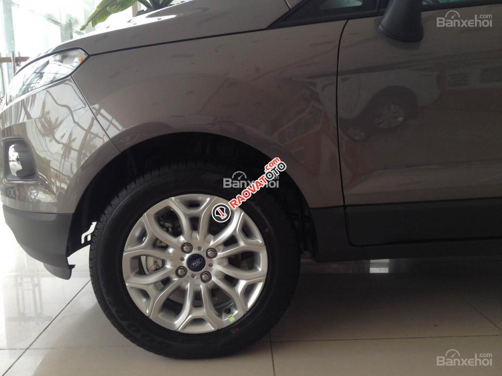 Sở hữu Ford Ecosport Titanium AT chỉ với 9 triệu mỗi tháng, đại lý bán Ford Ecosport giá tốt-4