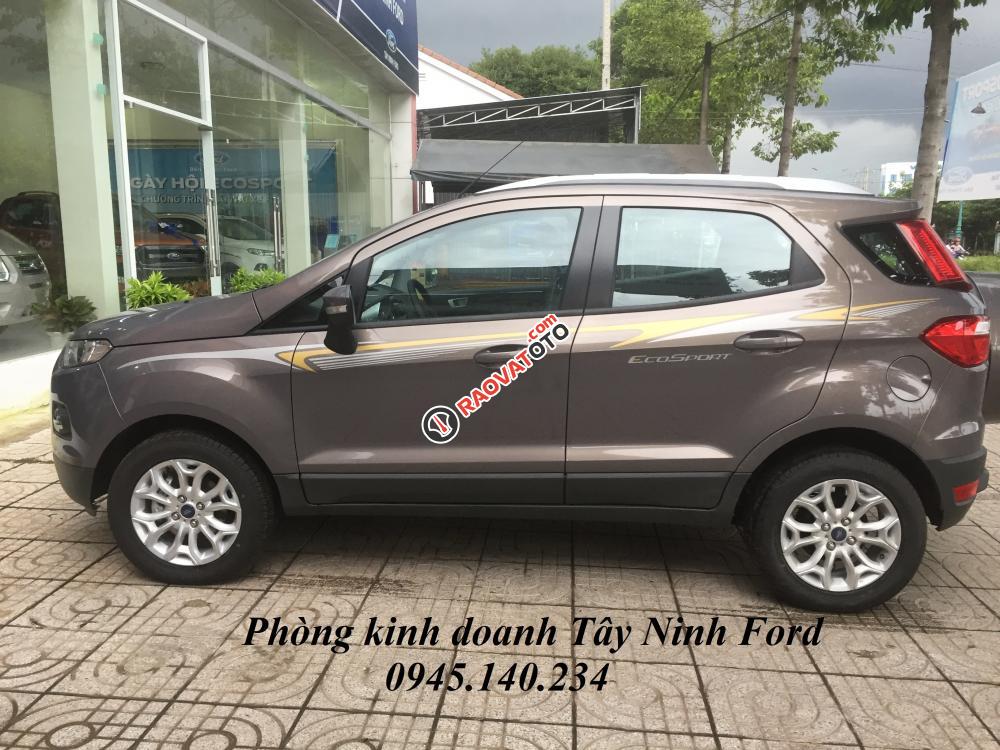 Ford Tây Ninh, cần bán xe Ford Ecosport 2018 màu nâu hổ phách, hỗ trợ mua trả góp, lãi suất 0.6%-3