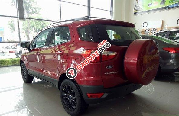 Lý do xe Ford Ecosport lăn bánh trên mọi nẻo đường-5