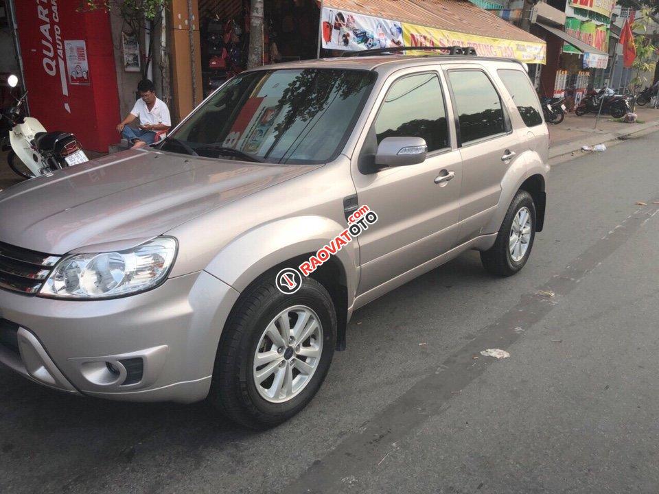 Bán Ford Escape XLS 2.3AT màu hồng phấn, sản xuất 2009, số tự động-4