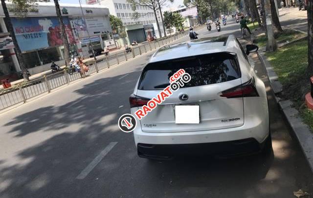 Bán xe Lexus NX 300h năm 2014, màu trắng, nhập khẩu-4