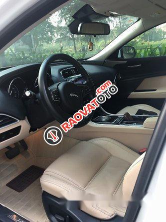 Xe Jaguar XE Prestige sản xuất năm 2016, màu trắng, nhập khẩu còn mới-0