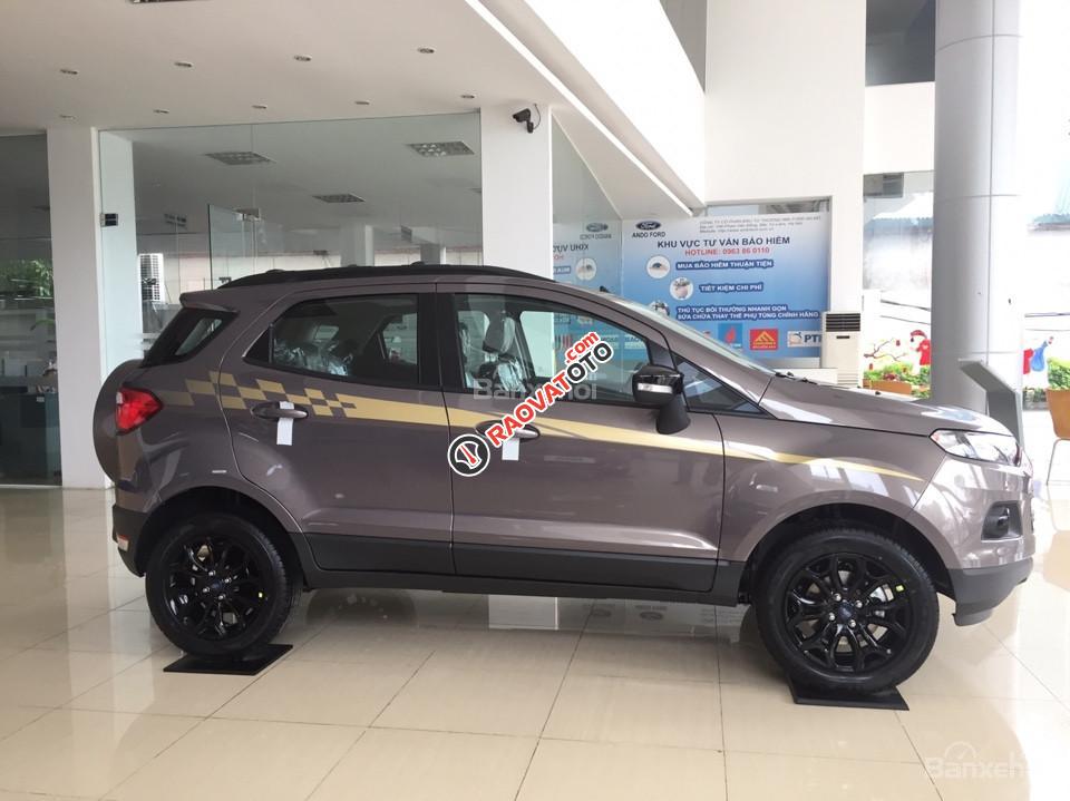 Cần bán Ford EcoSport Titanium SVP 1.5L AT 2017, 570 triệu-3