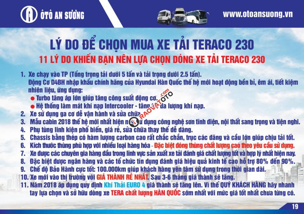 Bán xe tải Tera 230 đời 2017, màu trắng-0