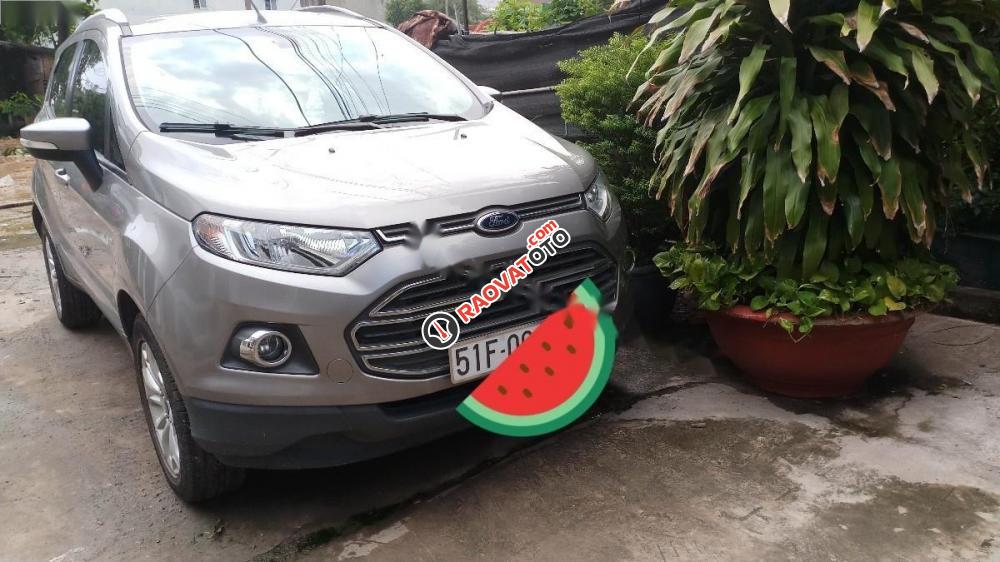 Cần bán xe Ford EcoSport AT đời 2014, màu bạc, nhập khẩu nguyên chiếc, giá 489tr-1