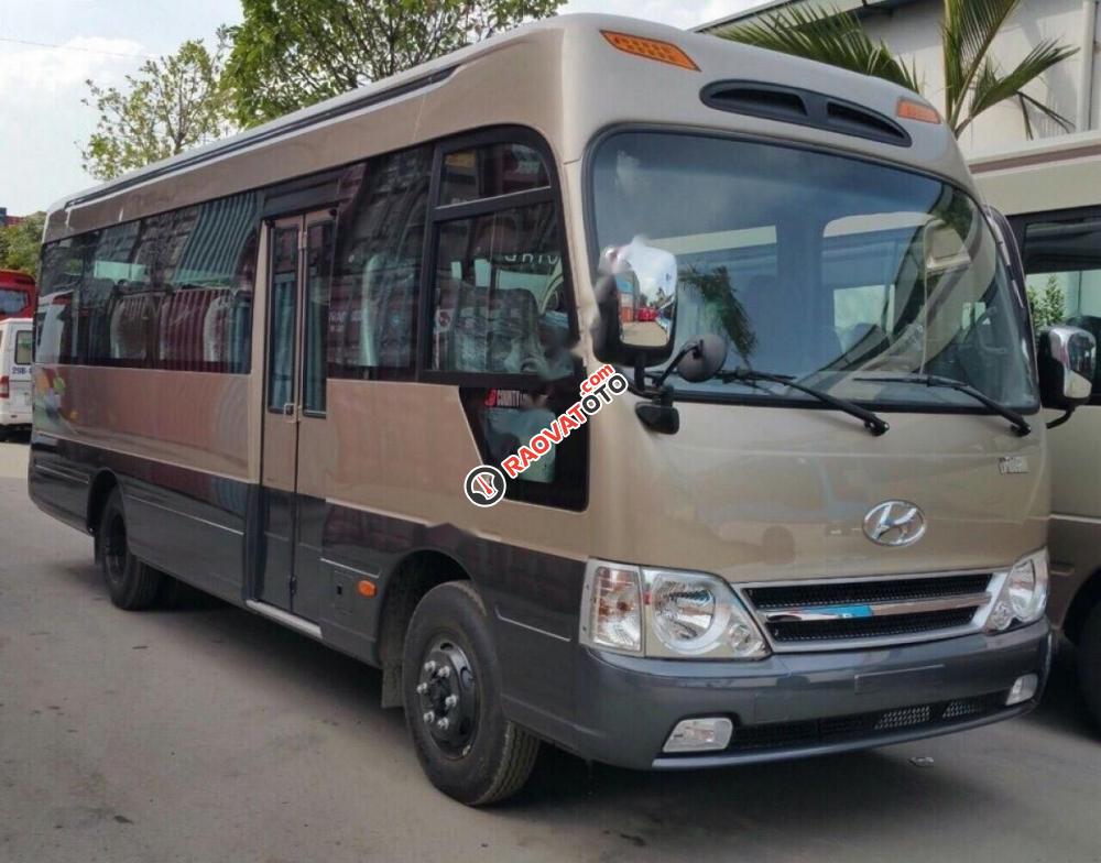 Bán xe Hyundai County Limousine đời 2017, màu nâu-0