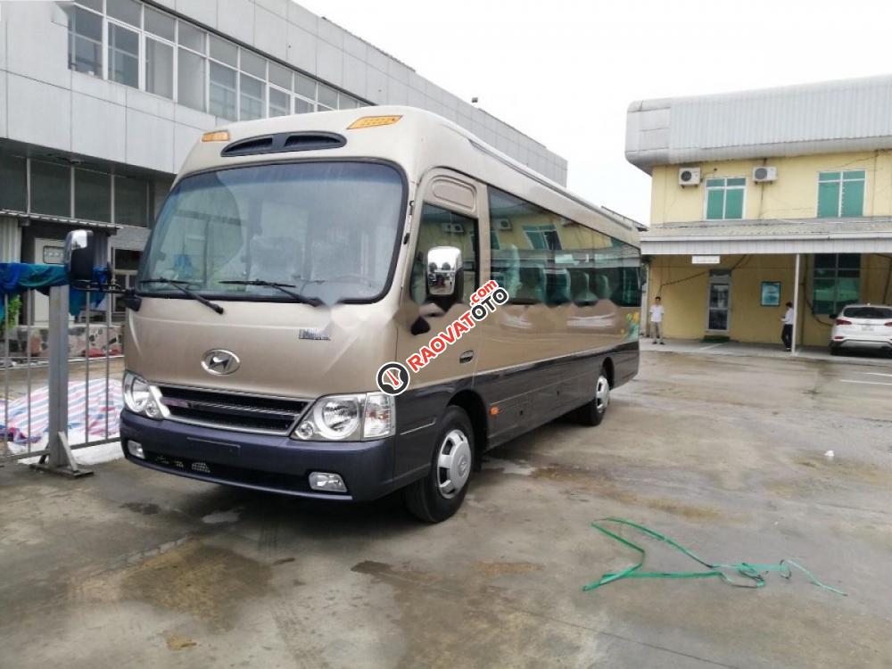Bán xe Hyundai County Limousine đời 2017, màu nâu-2