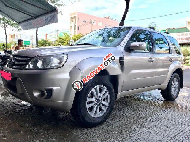 Bán Ford Escape XLT năm 2008, màu bạc  -4