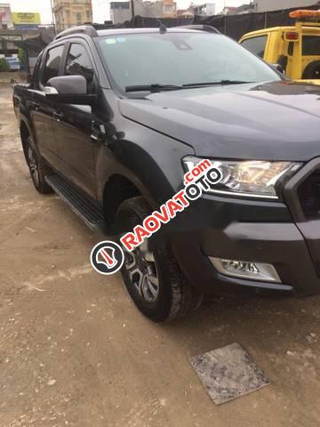 Bán xe Ford Ranger Wildtrak 3.2l AT đời 2017, nhập khẩu -1