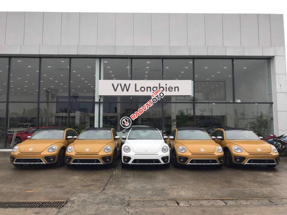 Cần bán xe Volkswagen New Beetle năm 2018, màu cam, nhập khẩu nguyên chiếc-3