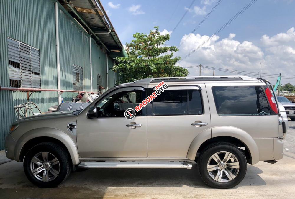 Cần bán Ford Everest 4x2 AT 2009, màu bạc-10